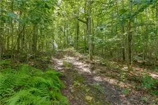 380 Aldridge Rd, Newland, NC 28657 - Photo 48
