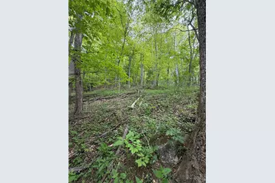 Tbd Ben Bolen Road, Creston, NC 28615 - Photo 12