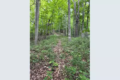 Tbd Ben Bolen Road, Creston, NC 28615 - Photo 6