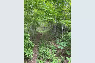 Tbd Ben Bolen Road, Creston, NC 28615 - Photo 8