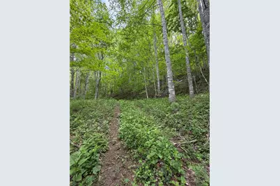 Tbd Ben Bolen Road, Creston, NC 28615 - Photo 10