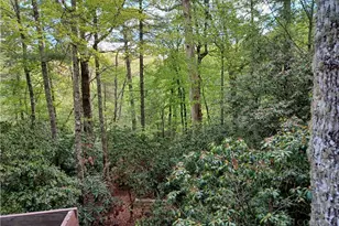 100 Tulip Ln, Newland, NC 28657 - Photo 40