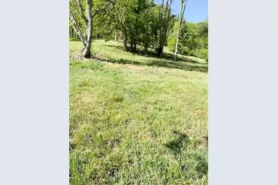 420 Virginia Lane, Mouth of Wilson, VA 24363 - Photo 10