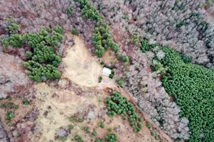 420 Virginia Ln, Mouth of Wilson, VA 24363 - Photo 46