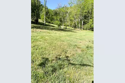 420 Virginia Lane, Mouth of Wilson, VA 24363 - Photo 8