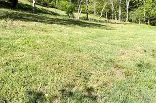 420 Virginia Ln, Mouth of Wilson, VA 24363 - Photo 8