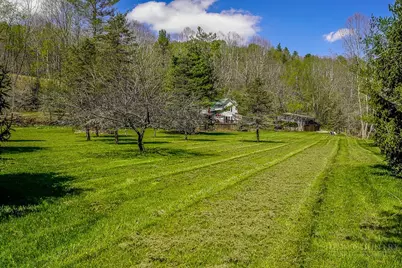 8652 Nc Highway 16, Grassy Creek, NC 29631 - Photo 22