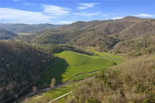 2345 Watauga River Rd, Sugar Grove, NC 28679 - Photo 50