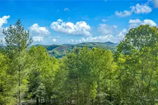 925 Red Sleigh Way, Fleetwood, NC 28626 - Photo 4