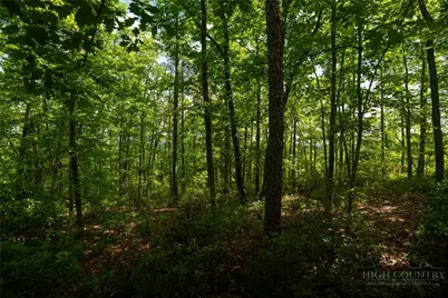 75 Lobelia Lane, Boone, NC 28607 - Photo 6