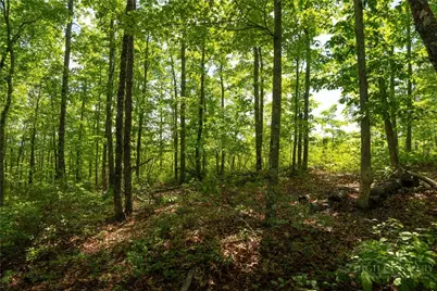 75 Lobelia Lane, Boone, NC 28607 - Photo 4