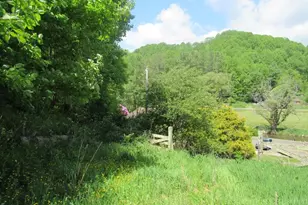 805 Ed Little Rd, Warrensville, NC 28693 - Photo 20