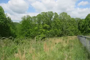 805 Ed Little Rd, Warrensville, NC 28693 - Photo 22