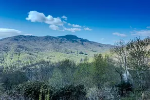 144 Top of 7 Dr, Seven Devils, NC 28604 - Photo 22