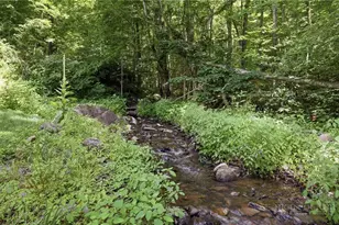 635/634 Little Horse Creek Rd, Newland, NC 28657 - Photo 8