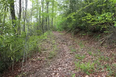 Tbd Flatwoods School Road, Creston, NC 28615 - Photo 2