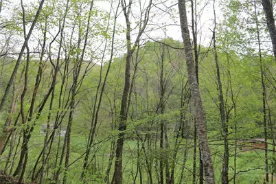 Tbd Flatwoods School Road, Creston, NC 28615 - Photo 1