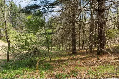 Tbd Highland Ridge Road, Blowing Rock, NC 28605 - Photo 4