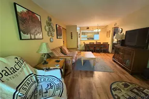 66 Pinetop Cir, Banner Elk, NC 28604 - Photo 6