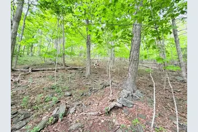 Lot 136 Lauren Lane, West Jefferson, NC 28694 - Photo 10