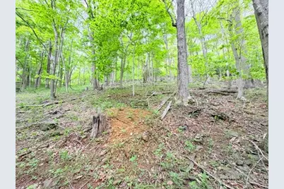 Lot 136 Lauren Lane, West Jefferson, NC 28694 - Photo 6