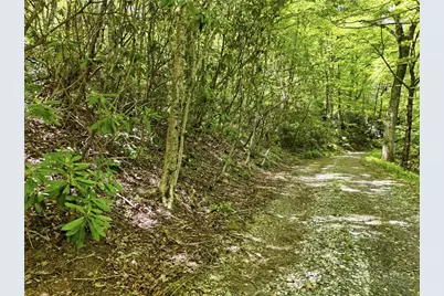 Lot #25 Snow Ridge Road, Banner Elk, NC 28604 - Photo 4