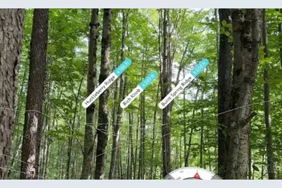 Lot 3 Buckeye Ridge Road, Beech Mountain, NC 28604 - Photo 6