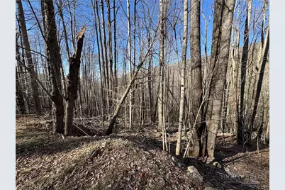 Lot 3 Buckeye Ridge Road, Beech Mountain, NC 28604 - Photo 4
