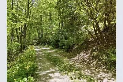 Lot #28 Snow Ridge Road, Banner Elk, NC 28604 - Photo 6