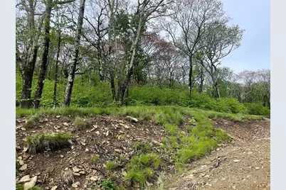 Tract 1 Spur Lane, Beech Mountain, NC 28604 - Photo 24