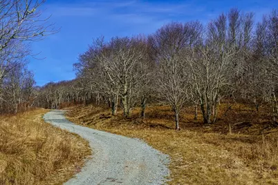 Tract 1 Spur Lane, Beech Mountain, NC 28604 - Photo 16
