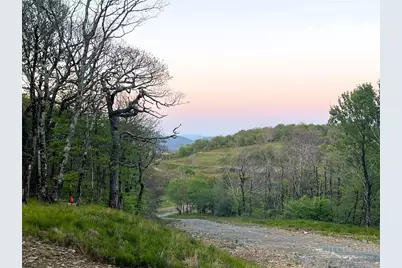 Tract 1 Spur Lane, Beech Mountain, NC 28604 - Photo 4
