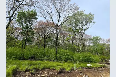 Tract 1 Spur Lane, Beech Mountain, NC 28604 - Photo 2