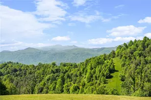 962 Hawks Roost Trail, Vilas, NC 28692 - Photo 48