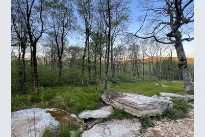 2 Acre Spur Lane, Beech Mountain, NC 28604 - Photo 2