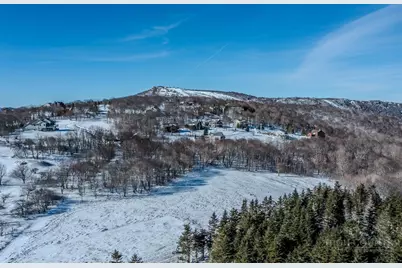 2 Acre Spur Lane, Beech Mountain, NC 28604 - Photo 14