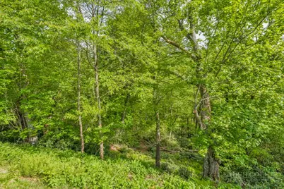 Lot 218 Stack Rock Trail, Blowing Rock, NC 28605 - Photo 8