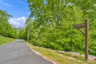 Lot 218 Stack Rock Trail, Blowing Rock, NC 28605 - Photo 6