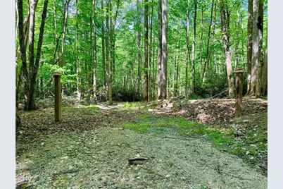 Lot 5A Buckeye Ridge Road, Beech Mountain, NC 28604 - Photo 4