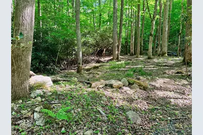 Lot 5A Buckeye Ridge Road, Beech Mountain, NC 28604 - Photo 8