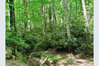 Lot 5A Buckeye Ridge Road, Beech Mountain, NC 28604 - Photo 14