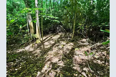 Lot 5A Buckeye Ridge Road, Beech Mountain, NC 28604 - Photo 10