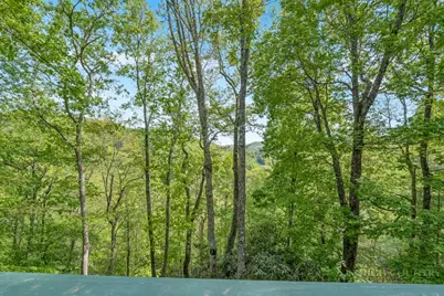 265 Mine Branch Road, Blowing Rock, NC 28605 - Photo 6