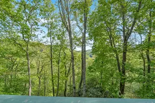 265 Mine Branch Rd, Blowing Rock, NC 28605 - Photo 6