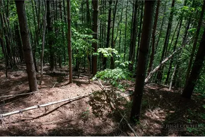 000 Narrow Gauge Drive #18, Lenoir, NC 28611 - Photo 14