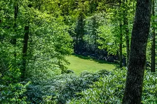 173 Laurel Brook Rd, Newland, NC 28657 - Photo 40