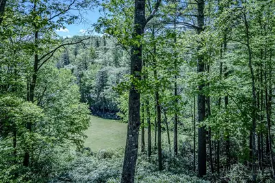 173 Laurel Brook Road, Newland, NC 28657 - Photo 12