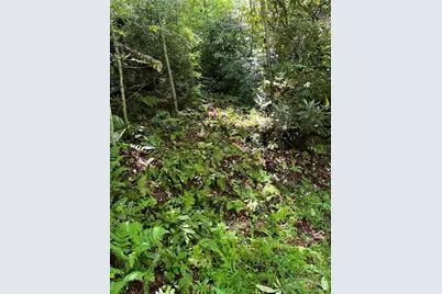 Lot #21 Scaley Bark Lane, Boone, NC 28607 - Photo 6