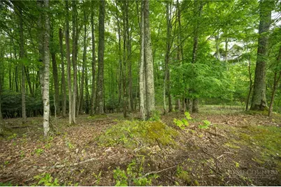 Lot 113 Eagle Park Drive, Banner Elk, NC 28604 - Photo 2