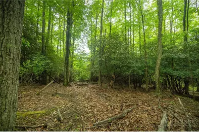 Lot 113 Eagle Park Drive, Banner Elk, NC 28604 - Photo 12